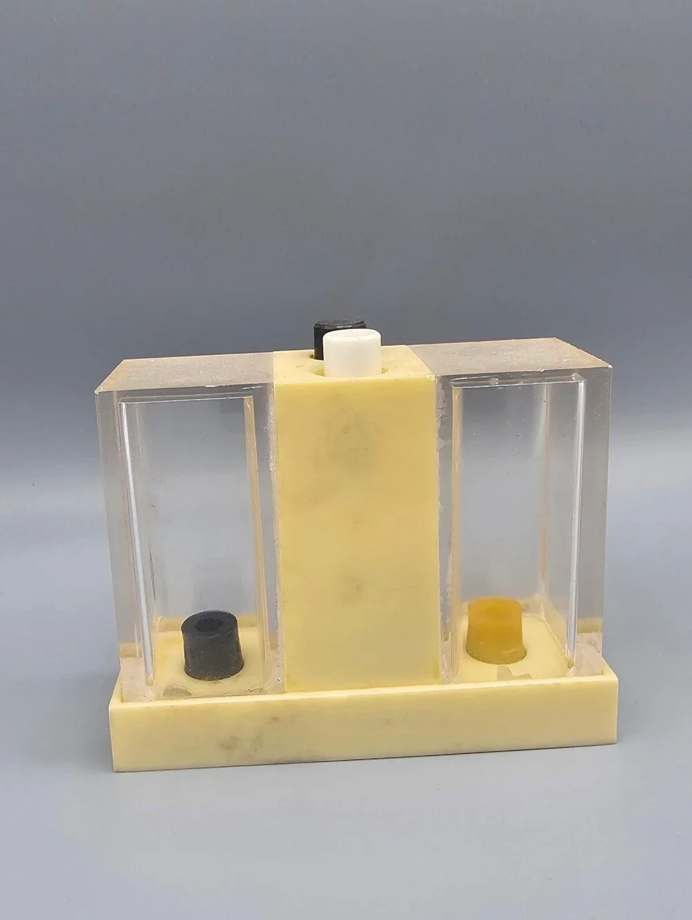 Vintage Dual Compartment Salt and Pepper Dispenser